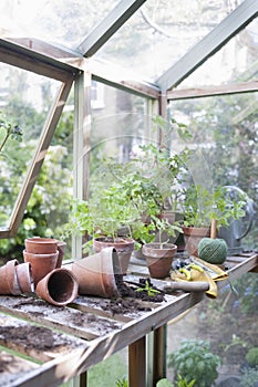 Overturned Pots In Greenhouse