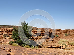 Overview of the Australian Kings Canyon