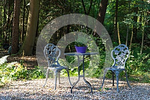 Overview of  beautiful, vintage style wrought iron garden seats and table surrounded by summer flowers plants and trees in hazy