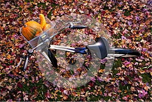 Overview of bicycle with pumpkins in teh basket