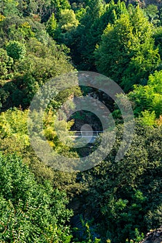 Overview of the Botanical Garden in Tbilisi, Georgia