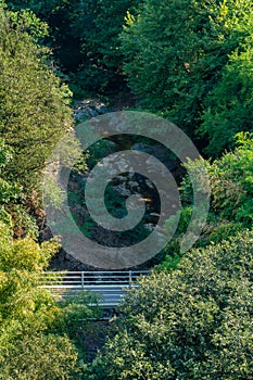 Overview of the Botanical Garden in Tbilisi, Georgia