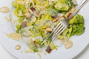 Overview of a cesar salad