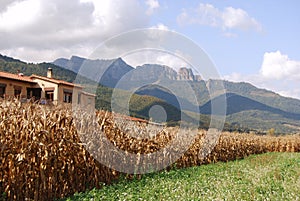 Overview of Cornella de Terri Vall de n Bas