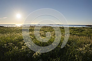 Overview in Eggun in Norway