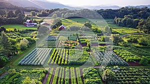 Aerial view of holistic farming practices on a biodynamic farm. photo