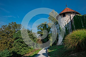 Overview of Lasko castle, rising above the city. Old castle in early morning sunlight, visible main tower and surrounding foliage