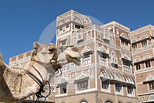 Overview at the tower houses of old Sana photo