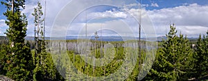 Panoramica lago Yellowstone photo