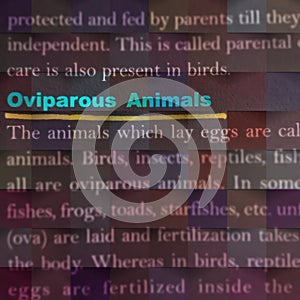 oviparous animals wildlife related terminology displayed on abstract background