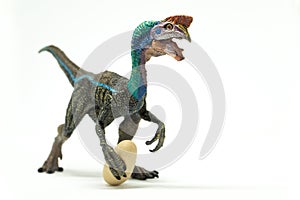 Oviraptor with stolen egg on white background