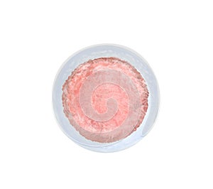 Ovum (egg cell) on white background, illustration
