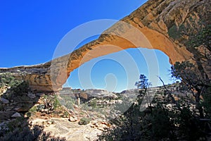 Owachomo bridge or arch in Natural Bridges National Monument, USA