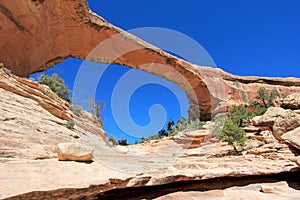 Owachomo bridge or arch in Natural Bridges National Monument, USA