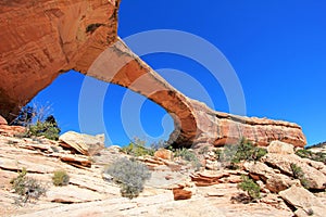 Owachomo bridge or arch in Natural Bridges National Monument, USA