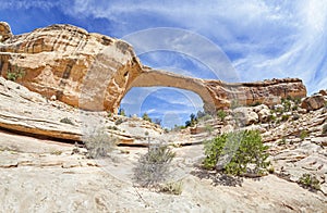 Owachomo Bridge in Natural Bridges National Monument, USA.