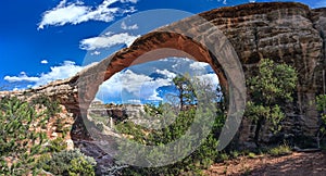 Owachomo bridge in Natural Bridges National Monument Utah USA photo