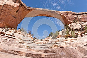 Owachomo Bridge is a Natural Rock Bridge