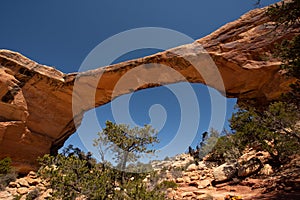 Owachomo Natural Bridge Utah