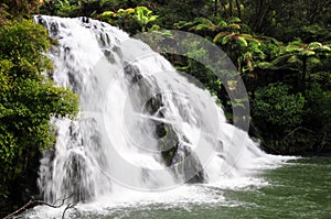 Owaroha Falls - Coromandel photo