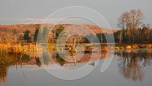 Owasco Inlet wetland area lights up at Autumn sunrise