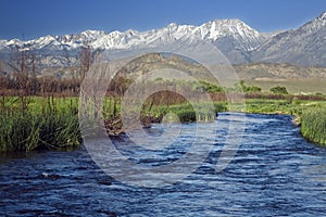 Owens River Sierra photo