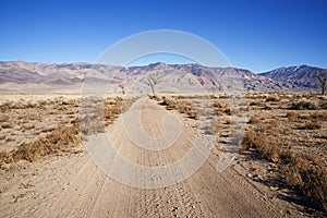 Owens Valley Dirt Road