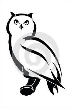 Owl 1