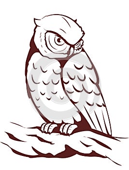Owl