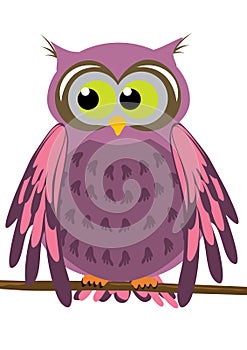 Owl