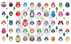 Owl 50 color set