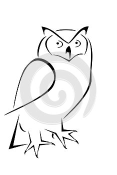 Owl