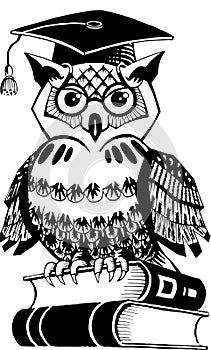Owl academician - simbolic cartoon owl sitting on books
