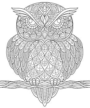 Owl. Adult antistress coloring page