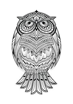 Owl animal coloring page vector