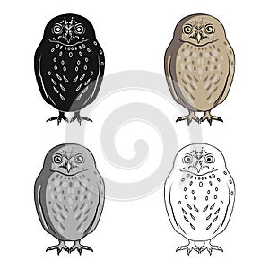 Owl.Animals single icon in cartoon style vector symbol stock illustration web.