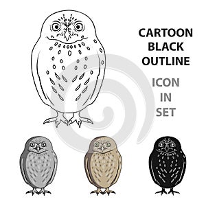 Owl.Animals single icon in cartoon style vector symbol stock illustration web.