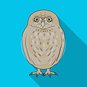 Owl.Animals single icon in flat style vector symbol stock illustration web.