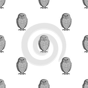 Owl.Animals single icon in monochrome style vector symbol stock illustration web.
