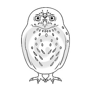 Owl.Animals single icon in outline style vector symbol stock illustration web.