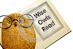 Owl With Book / Wise Owls Read