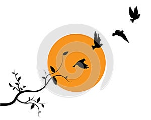 Flying birds silhouettes on sunset and branch illustration, vector