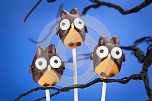 Owl cake pops