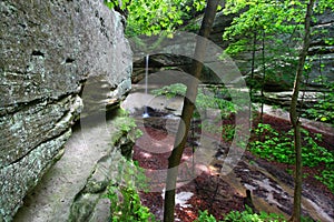 Owl Canyon - Starved Rock State Park