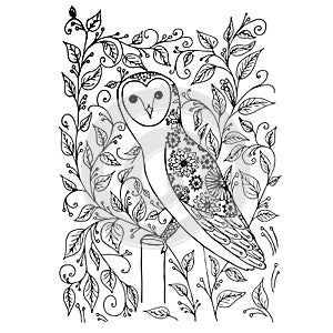 Owl cartoons hand drawn flower doodle monochrome art design element stock vector illustration for coloring book