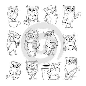 Owl characters. Funny wild night birds with cup of tea or coffee sleeping owls vector doodles