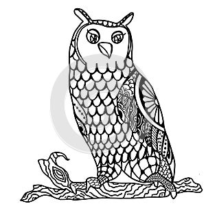 Owl with coloring book for other decorations isolated on white background