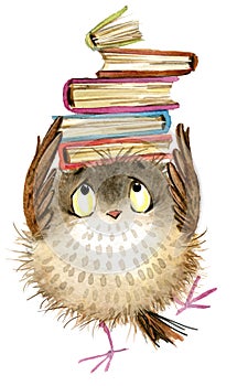 Owl. cute owl. watercolor forest bird. school books illustration. cartoon bird