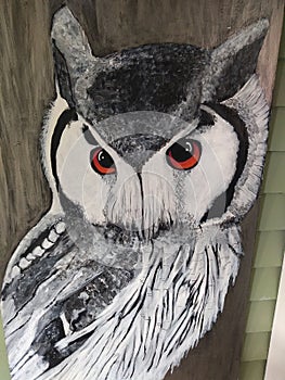 Owl in 2-d photo