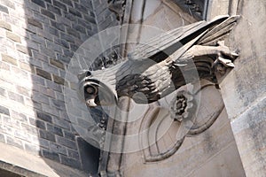 Owl on the decoration of the Catholic Basilica in Prague